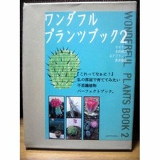 Bonsai Plantes Merveilleuses