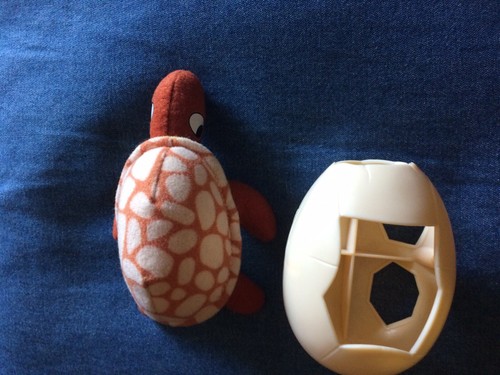 Oeuf plastique pour tortue - en,