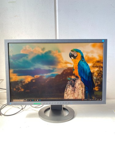 Moniteur lcd eizo flexscan - moniteur,