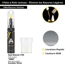 Peinture de retouche pour Saic