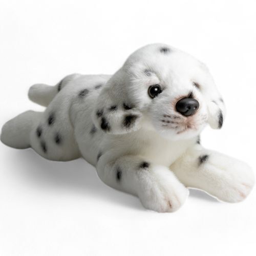 Dalmatien couché chien - dalmatien, couché,