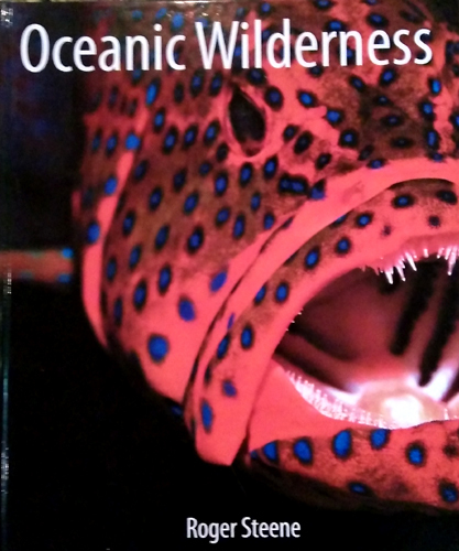 Huge oceanic wilderness 600 - huge,