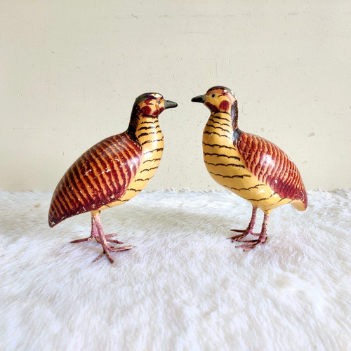 Figure paire oiseau - de,