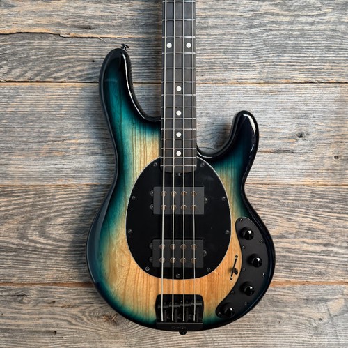 Ernie ball music - music, man