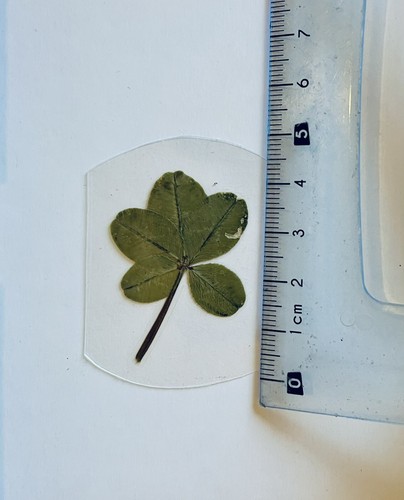 Trèfle feuilles - à,