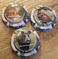 Capsules de champagne Charles