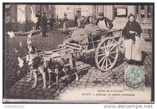 ARDENNES - Givet - attelage de chiens Ardennais
