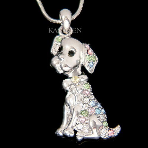 Collier chien labrador - collier,