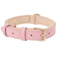 Collier pour Chien, en Cuir