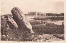 50 ILES CHAUSSEY LA GRENOUILLE