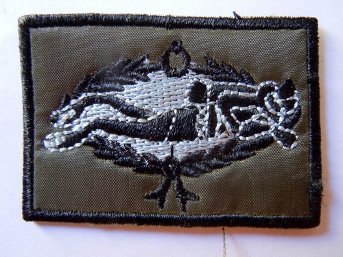 Insigne patch tissu nageurs - patch,