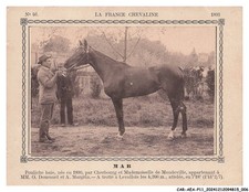 CAR-AEAP11-0773-CHEVAUX - Mab