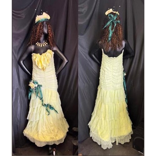 Disney princess tiana costume - princess,
