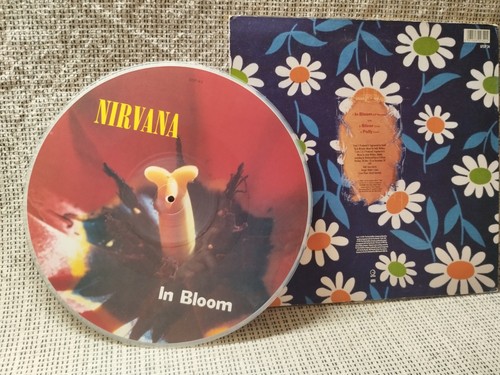 Nirvana rare picture - nirvana, 12"