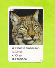 Carte Italienne - N°3b - Lynx