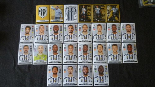 Vignettes panini championnat - vignettes,