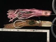 Ensemble de deux leurres de