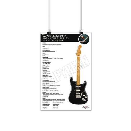 David gilmour signature fender - david,