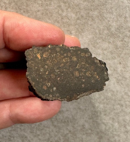 Meteorite chondrite ck5 nwa - meteorite,