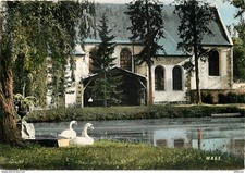 77 - Coulommiers - Le Parc des Capucins - Les Cygnes - Carte Neuve - CPM - Voir