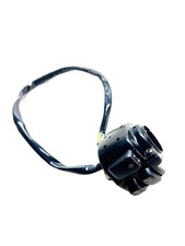 Harley Davidson Acier