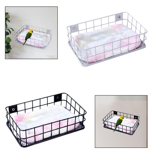 Parrot perch platform suspendu - platform,