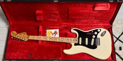 Guitare électrique fernandes - guitare,