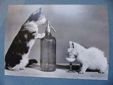 cpa animée -carte postale