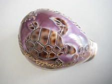 COQUILLAGE  GROS CYPRAERA GRAVE TORTUE NEWPORT BEACH  FLORIDE