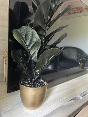 Plante artificielle - plante,