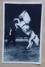TH868) CPA RADIO-CIRCUS OURAL cheval cabreur Maître Ecuyer Al. Gruss