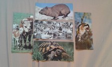 5 anciennes cartes Merveilles du Monde Nestlé