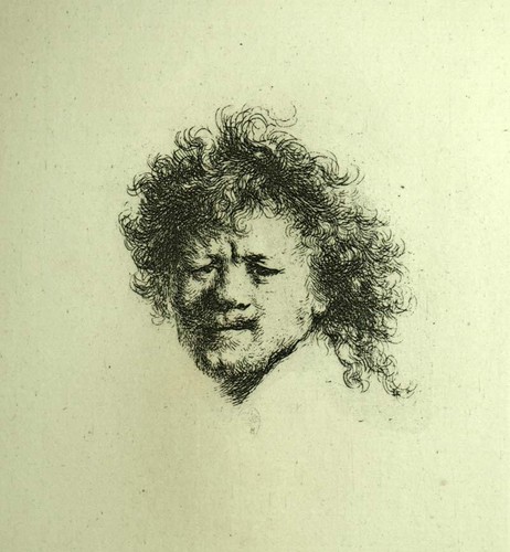 Rembrandt aux cheveux - aux,