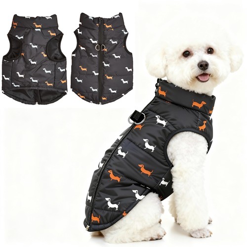 Manteau chien petite - manteau,