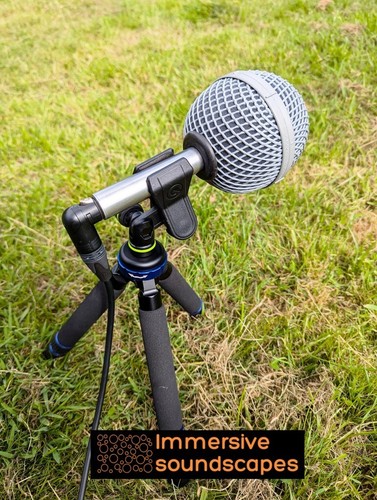 Earsight professional xlr - professional,