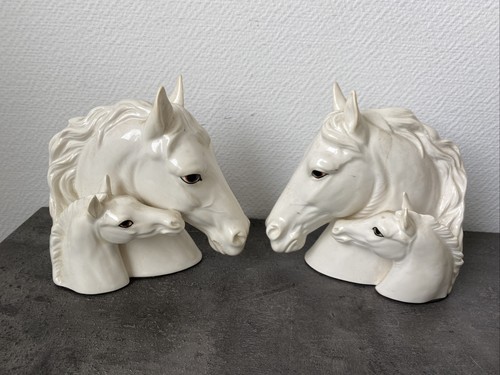Serre livre cheval poulain - cheval,