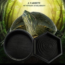  Animal Reptile Mangeoire Eau