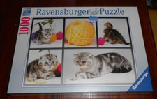 puzzle 1000 pièces CHATONS