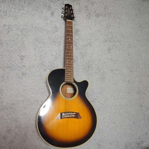 Guitare électrique acoustique