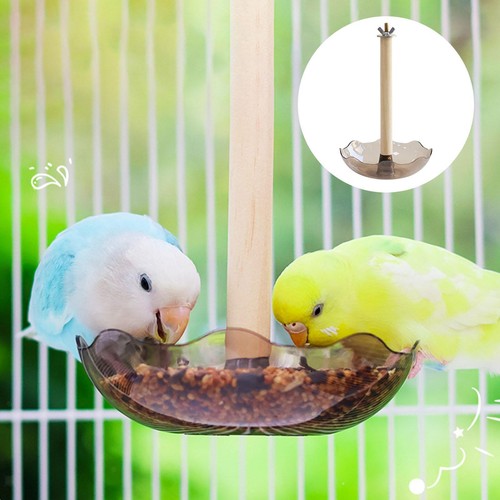 Mangeoire oiseaux bol - à, oiseaux,