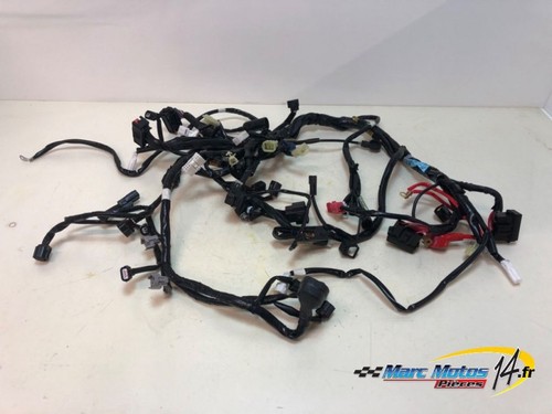 Faisceau yamaha mt07 - mt07, tracer