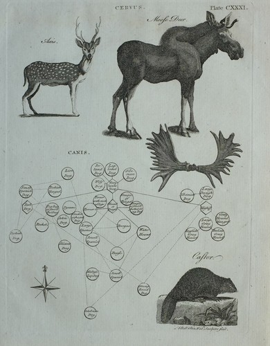 1797 original imprimé - original,