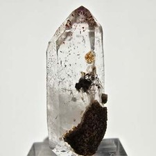 Gobo de poche Harlequin