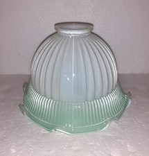 PAS COURANT TULIPE. GLOBE