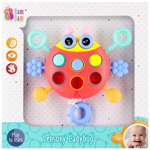 Sensoryczna biedronka bam - sensoryczna,