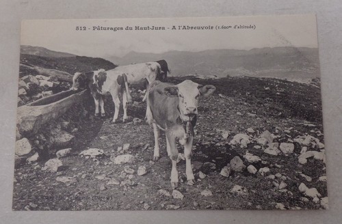 Paturages haut jura a - jura,