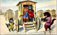 ANIMAUX - CHATS - le bain de mer.