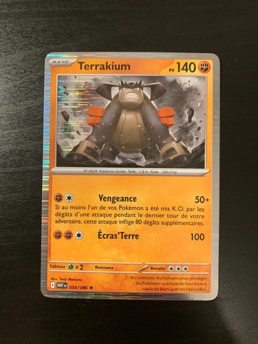 Carte pokémon holo - carte,