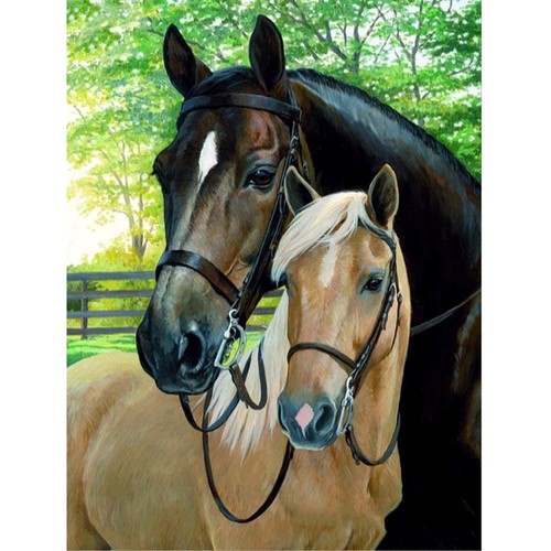 Diamant peinture kits de - 5d,