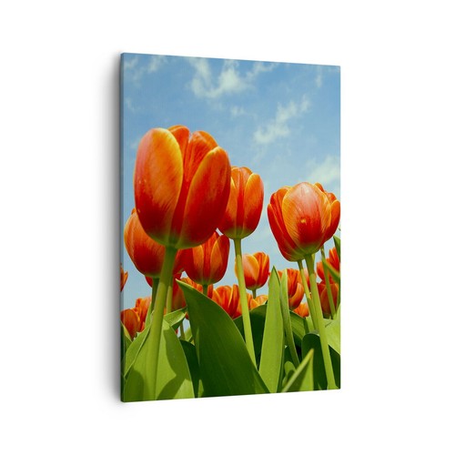 Impression sur toile 50x70cm - impression,